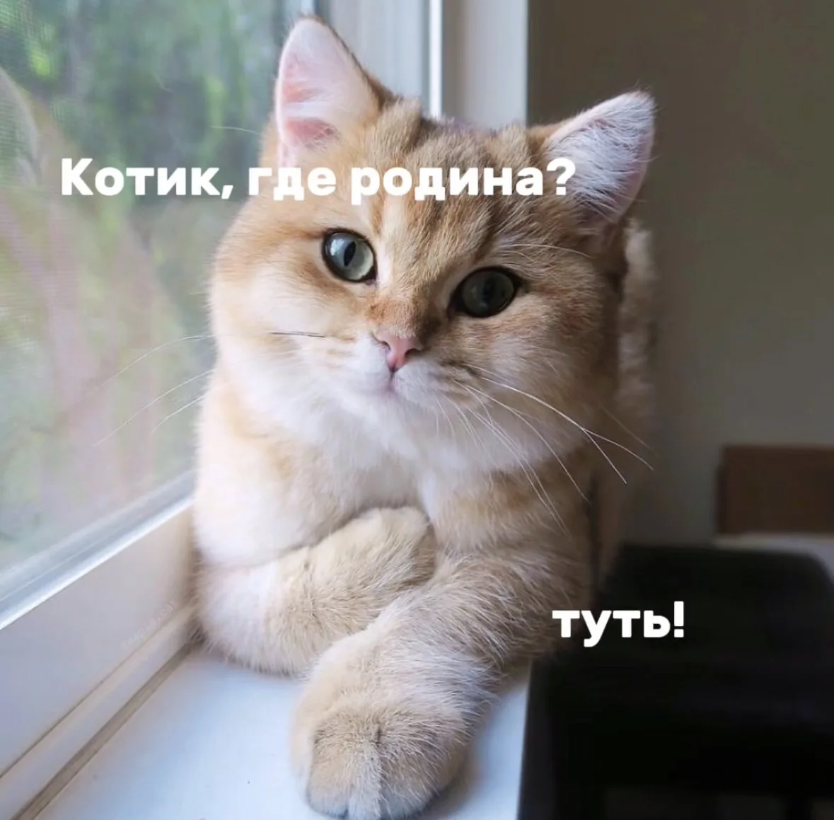 С Днём России, друзья!
Пойдёмте отметимся в комментариях. 
Интересно знать, какие меня читают города