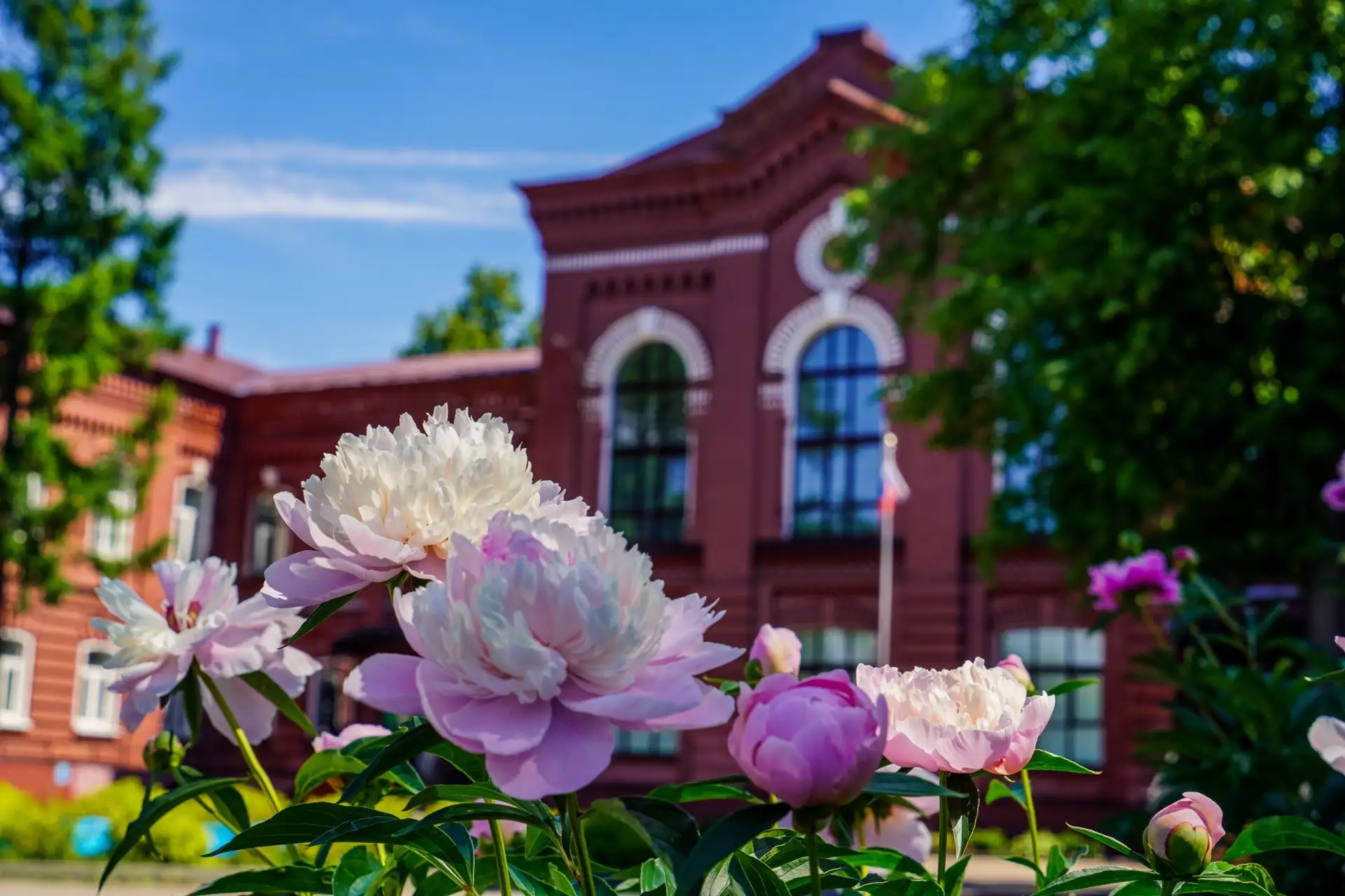 Ловите июньскую эстетику! 🌸

Вы уже видели, как расцвёл наш студгородок?

Особенно сейчас, когда вс