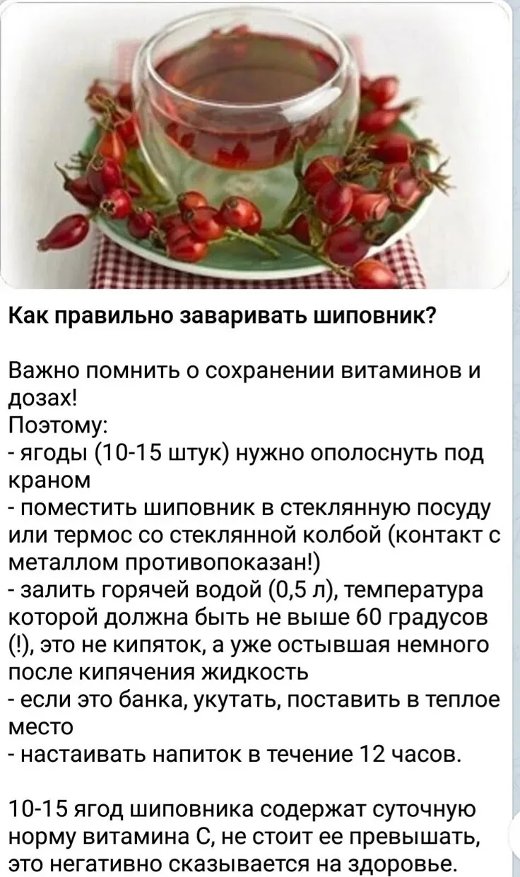Даже летом лишним не будет 

Отвар шиповника - мой излюбленный напиток вне зависимости от времени го