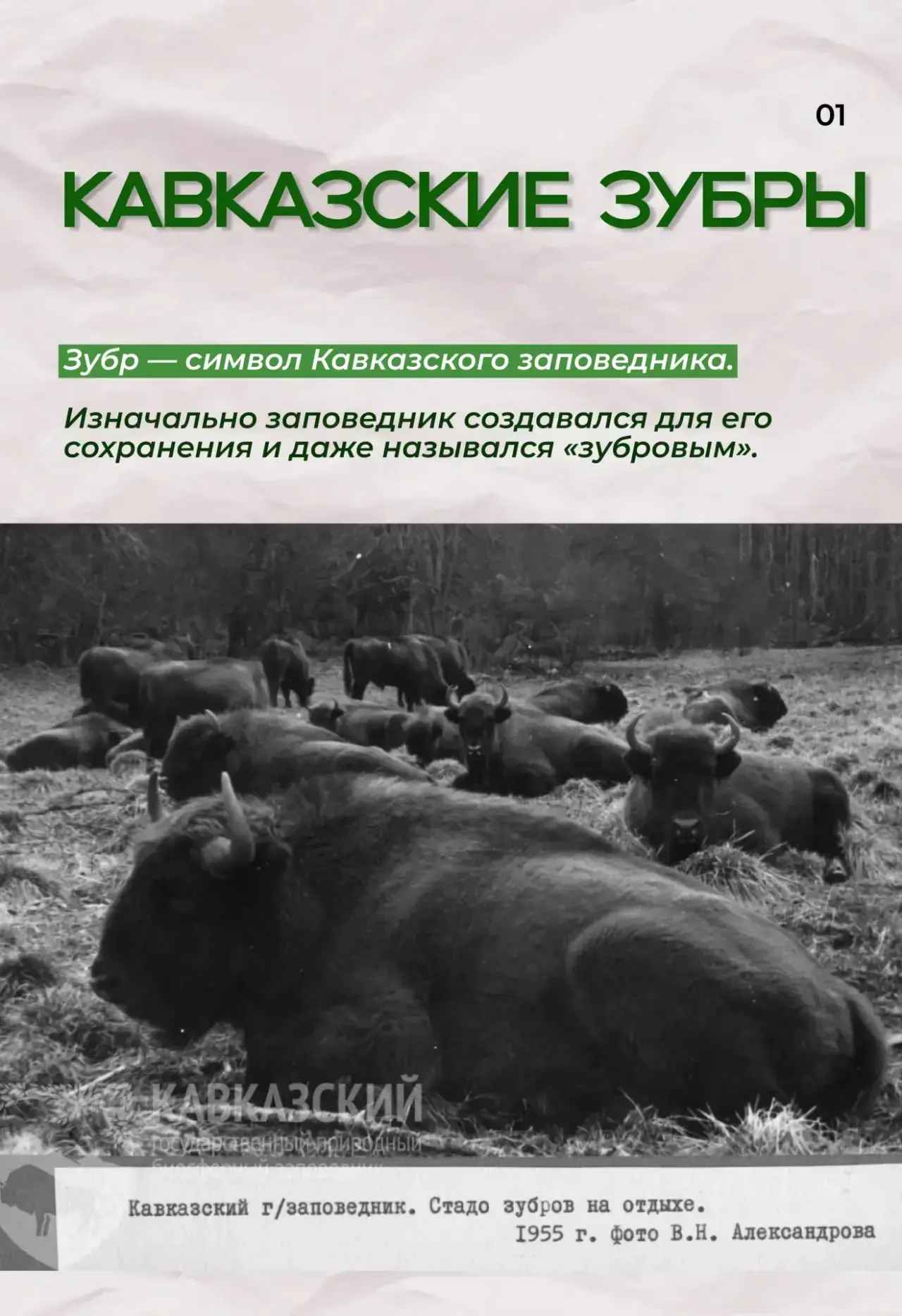 Кавказский заповедник — крупнейший горно-лесной заповедник Европы.

Он основан 12 мая 1924 года на з