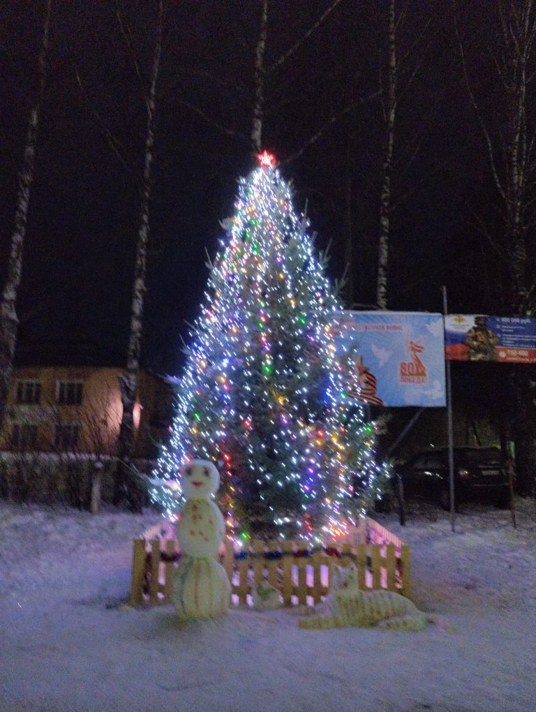 Новогодняя ёлка в посёлке Речной радует всех своей красотой. 🎄