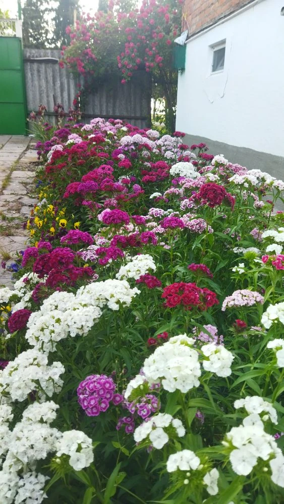 Доброе утро дорогие мои ❤️ 
Всем хорошего дня и отличного настроения ❤️