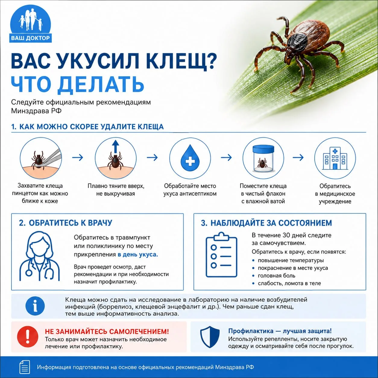 🕷️ Что делать, если укусил клещ — 5 главных шагов

Укус клеща может быть незаметным, но последствия