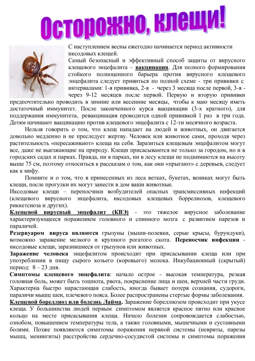 ФБУЗ "Центр гигиены и эпидемиологии в Хабаровском крае" рекомендует ознакомиться с памятками в сезон