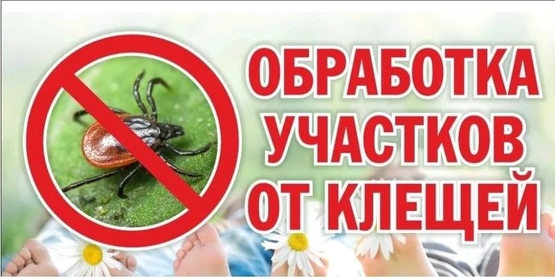 Внимание!!!
️14, 15.06.26 - территория лыжной базы, стартовая поляна и лыжная трасса закрыти для зан