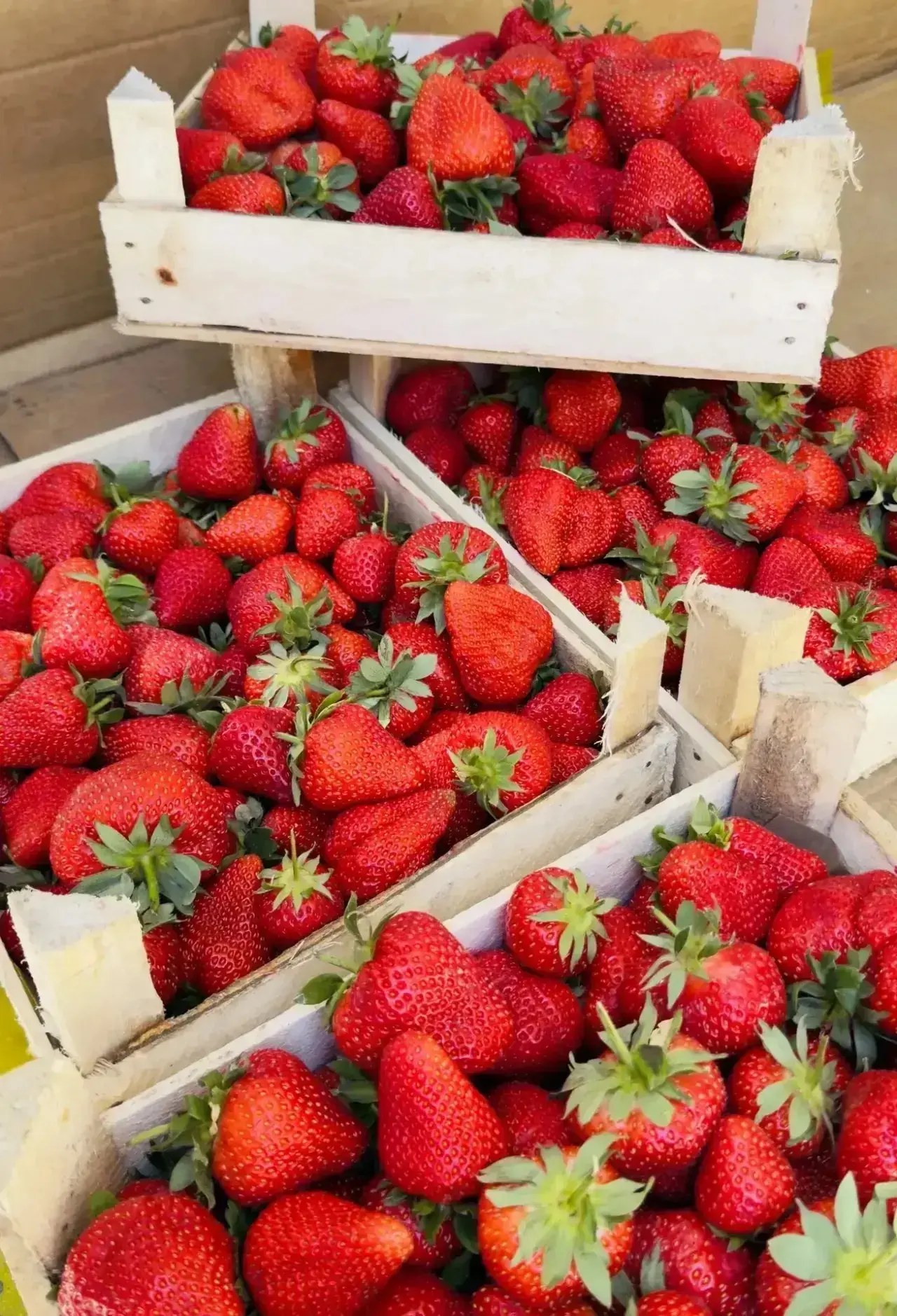 Добро пожаловать в "Fish and Berries" Свежая ягода! 🍓🍒
 
Свежая ягода из Киргизии:
 
- 🍓 Клубника