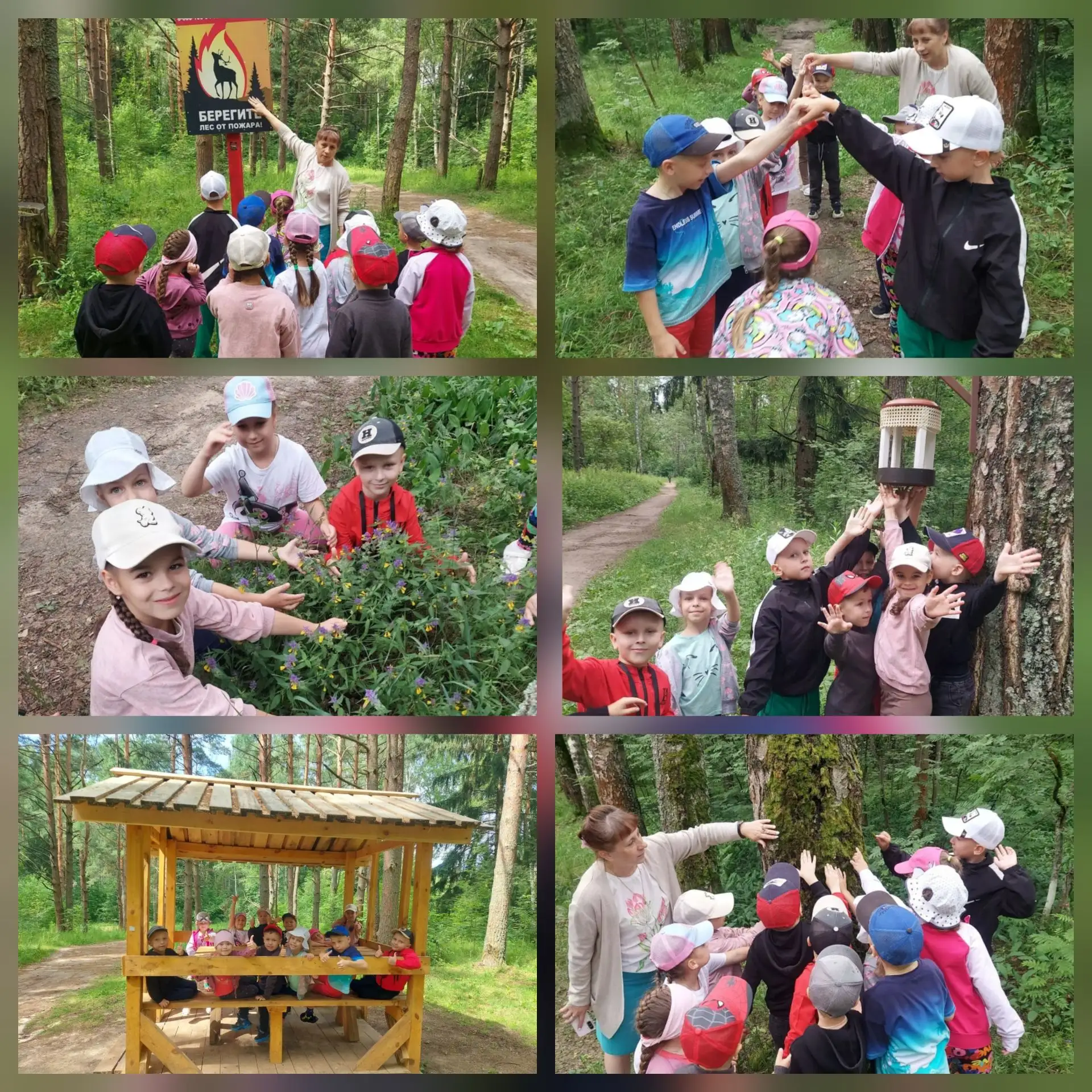 🌲🌳Маленькие шаги в большой мир: наблюдения за природой родного края

🌲🌳Лето в детском саду — это
