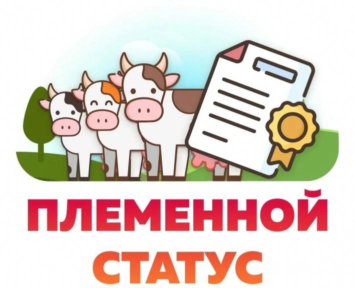 Внимание всем племенным хозяйствам республики

 Важные изменения, и время для подготовки уже наступи