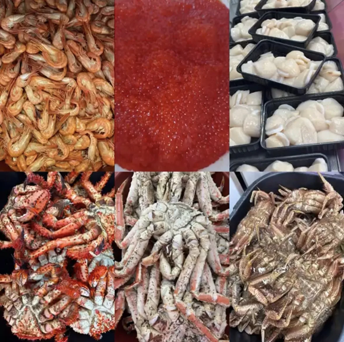 🐳 *МАГАЗИН МОРСКОЙ МИР*🐳
🐙🦑🪼🦐🦀🐬🐟🐠🐋🐡

✨ *КАМЧАТСКИЙ КРАБ* маленький 🦀 
1️⃣2️⃣0️⃣0️⃣ р/кг