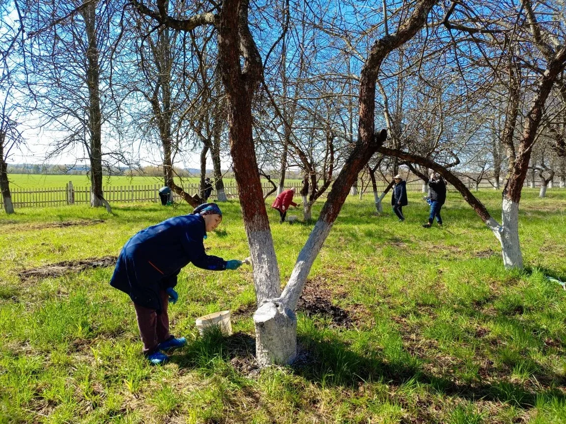✨🧹Сегодня на территории МБОУ "Иванчиковская СОШ" прошёл  субботник☘, в котором приняли участие не т
