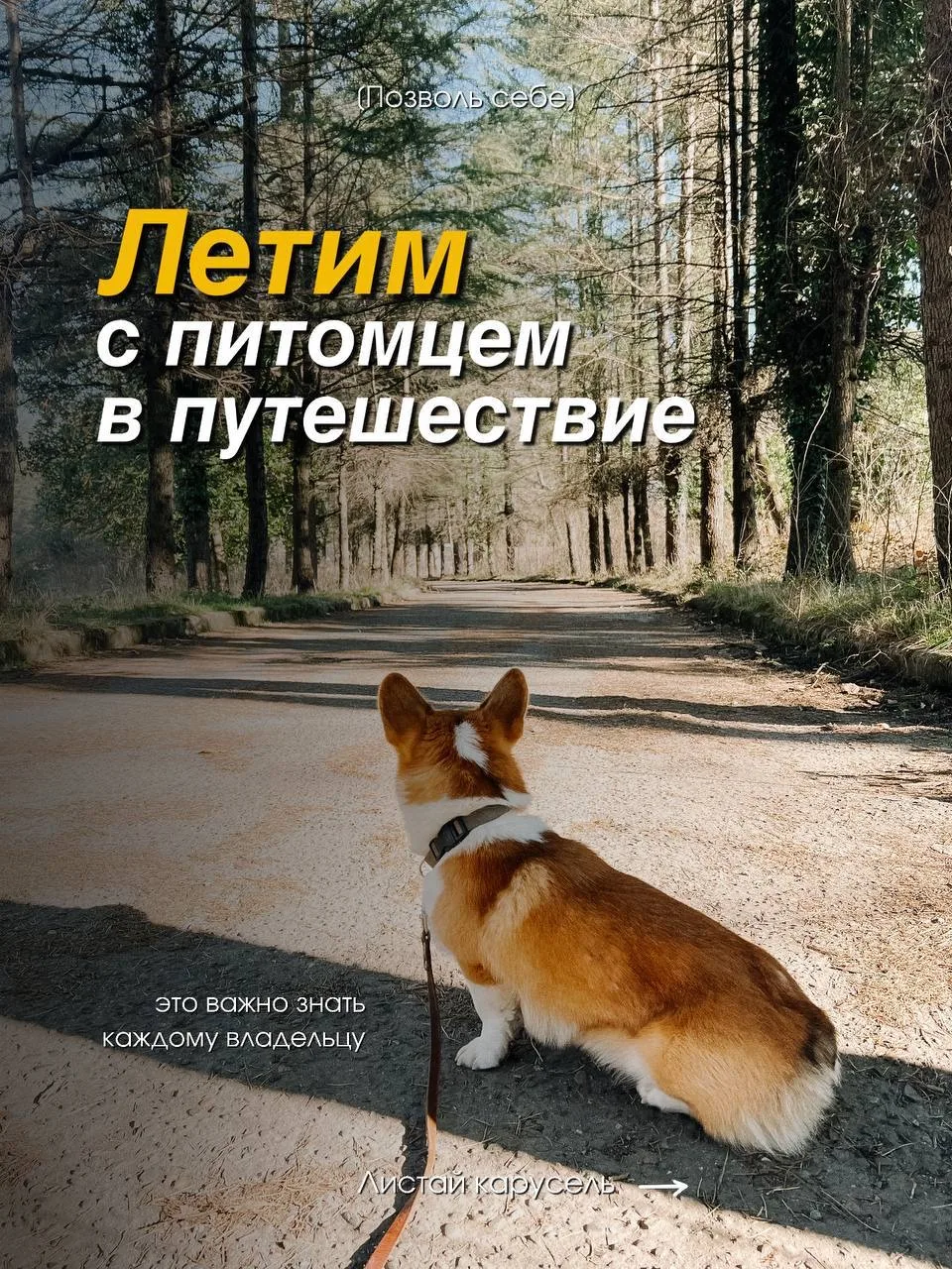 Инфографика для авторских туров «Позволь себе» (личный бренд) 

Часть 1

🎬Реализация: Елена Осипова