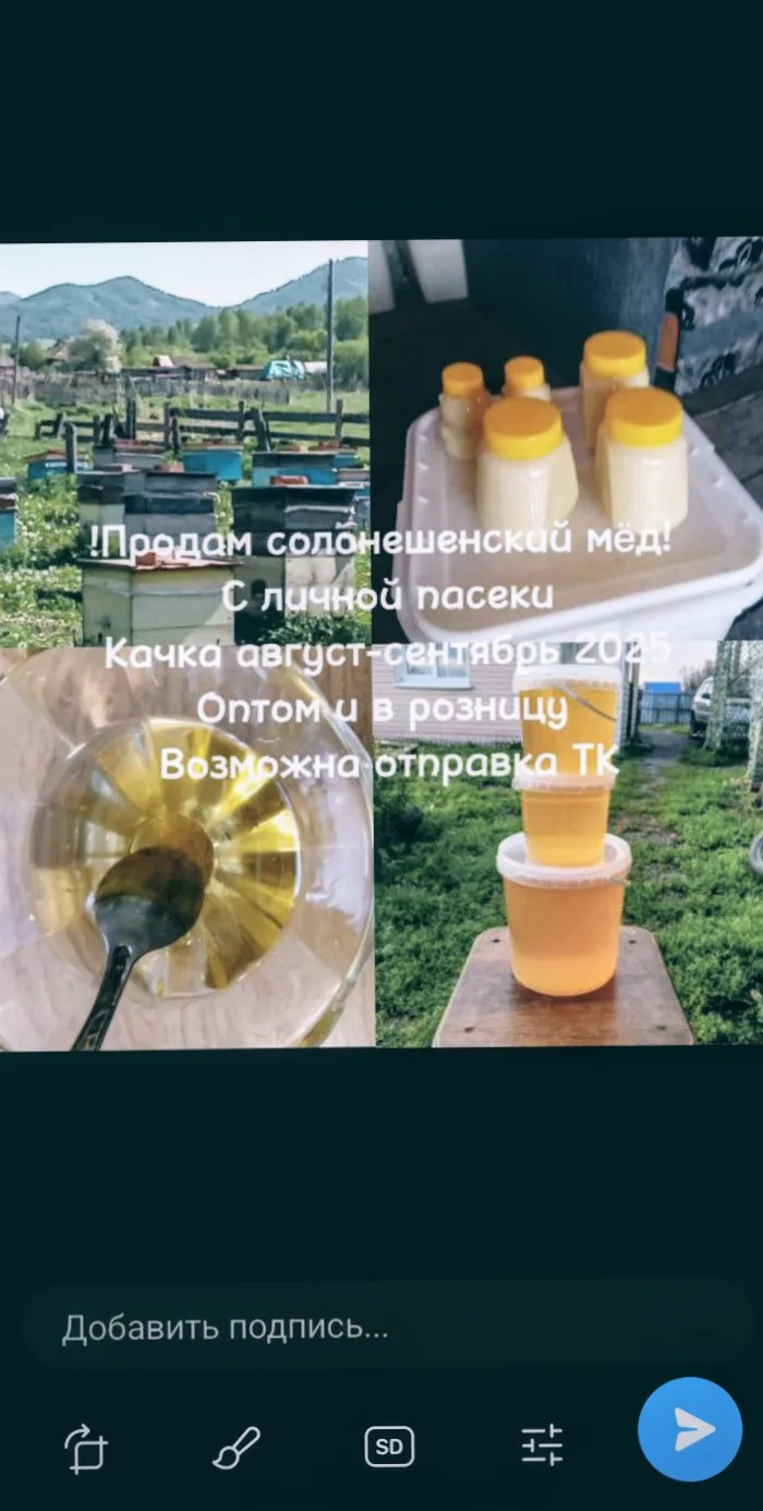 Продам солонешенский горный мёд алтайский край. Разнотравье качка август 2025, садка маслом. 350р за
