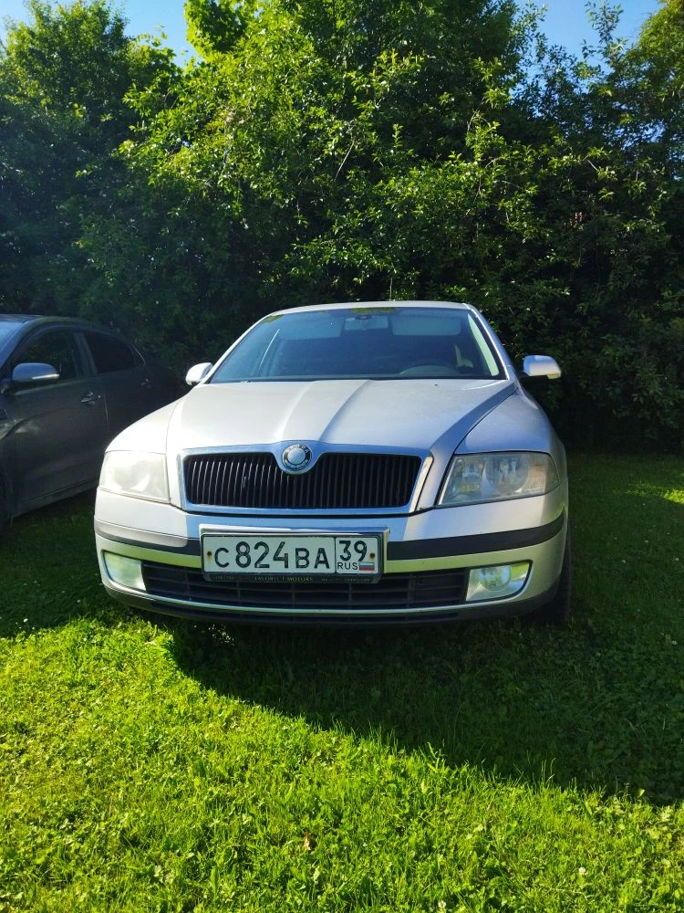 2008 г., 1.6 АКПП, есть рыжики, пороги и арки целые, 490 000 руб.