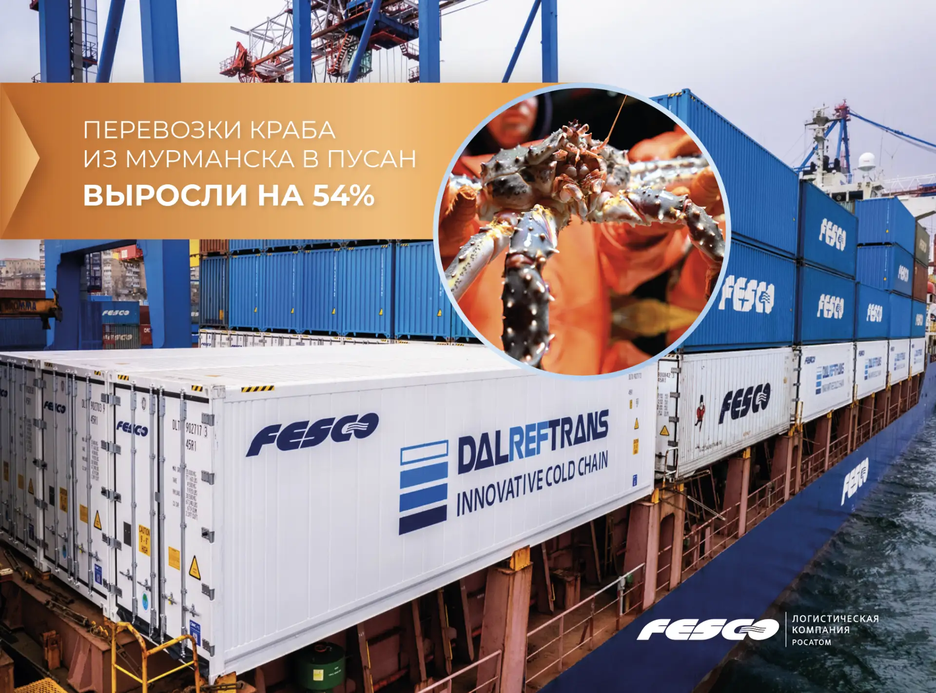 Более 500 тонн краба отправились из Заполярья в Азию 🇰🇷

Очередную крупную партию замороженной кра