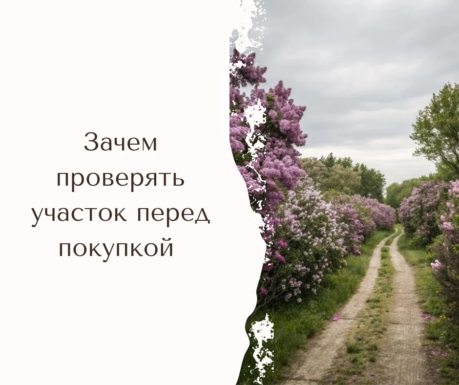 Хотите купить участок? Сначала проверьте. Вот 4 причины, почему это необходимо.

Кажется, что сложно