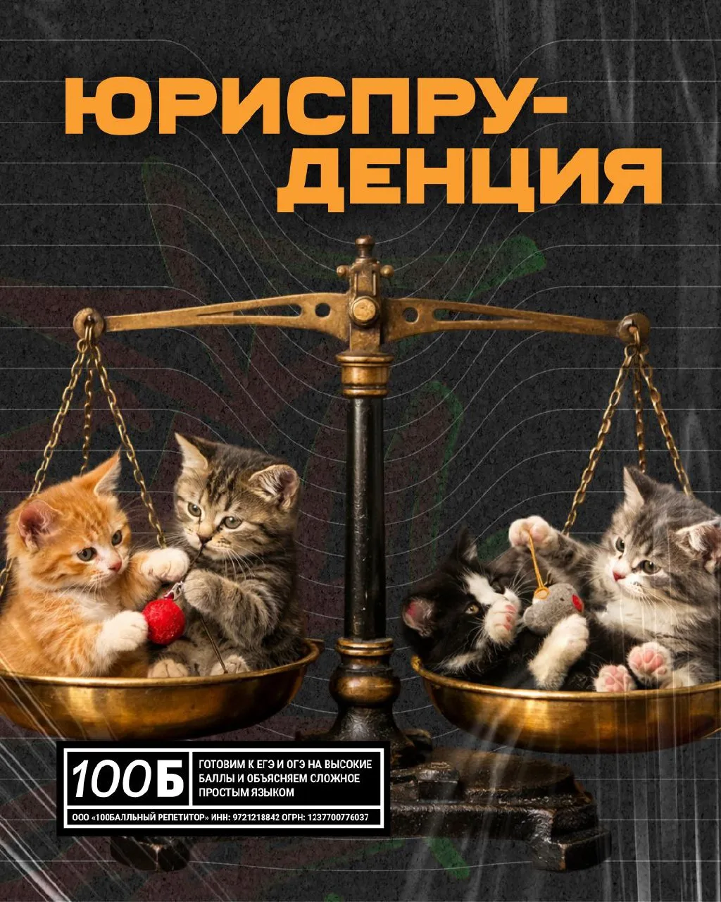 Любители докапываться до сути, искать справедливость и выигрывать споры — вам точно стоит присмотрет