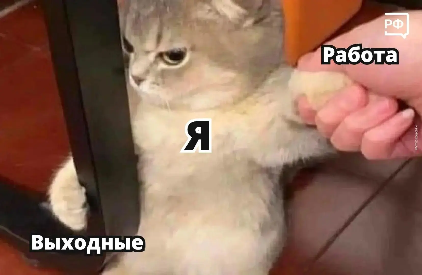 ❓ Рабочая неделя порой кажется бесконечной, а тут ещё начальник попросил выйти в субботу или воскрес