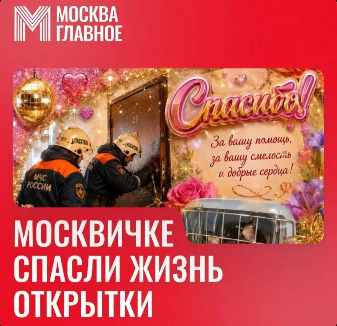 😨 Открытки в домовом чате спасли москвичке жизнь — женщина ежедневно присылала в чат дома пожелания