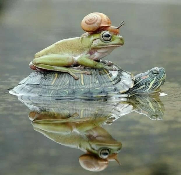 А нет ли тут плоскоземельства? 🧐
😎
@kukufffka