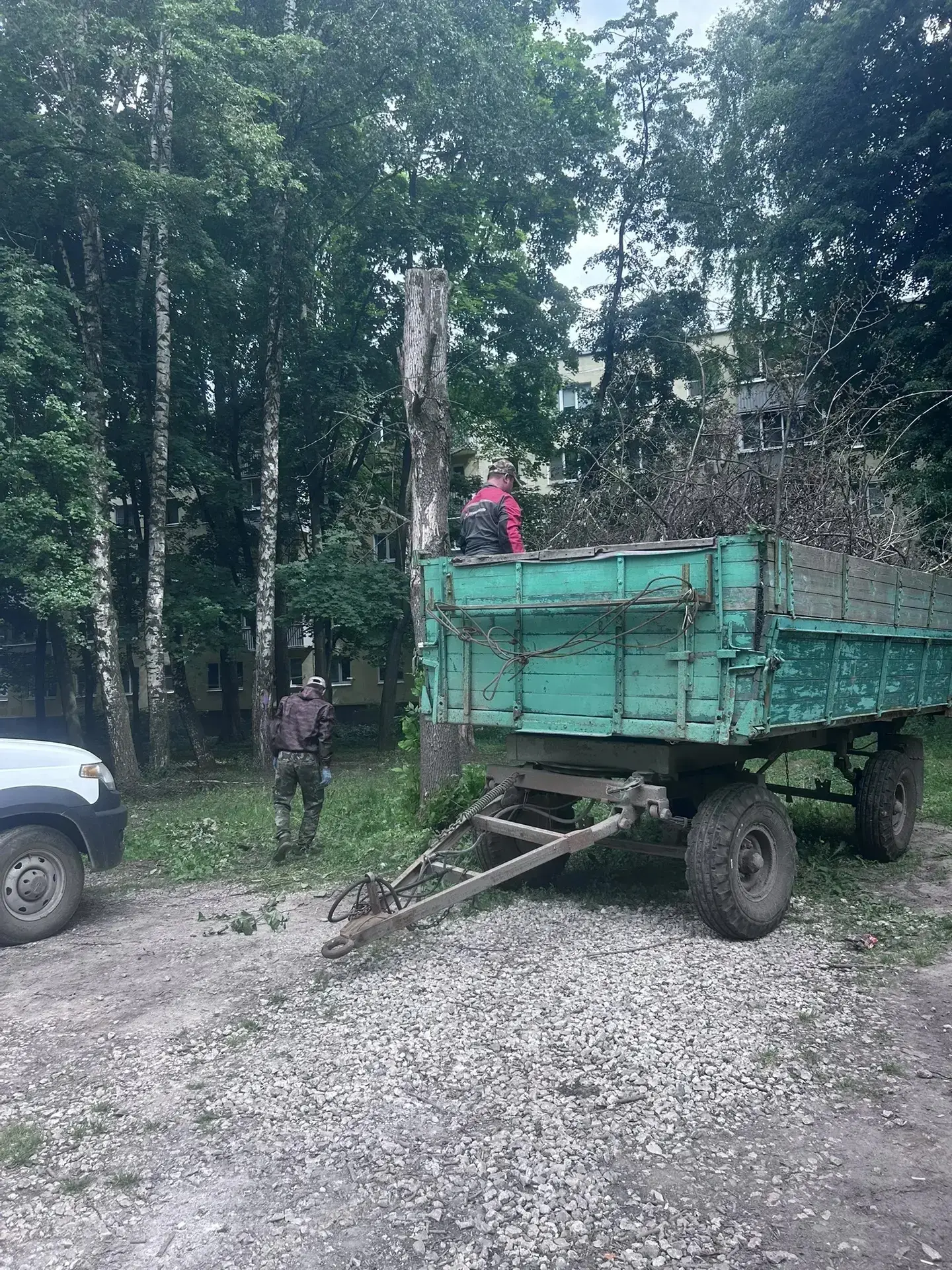 Вывезли ветки по адресу:
📍ул. Советской Армии, 3к3