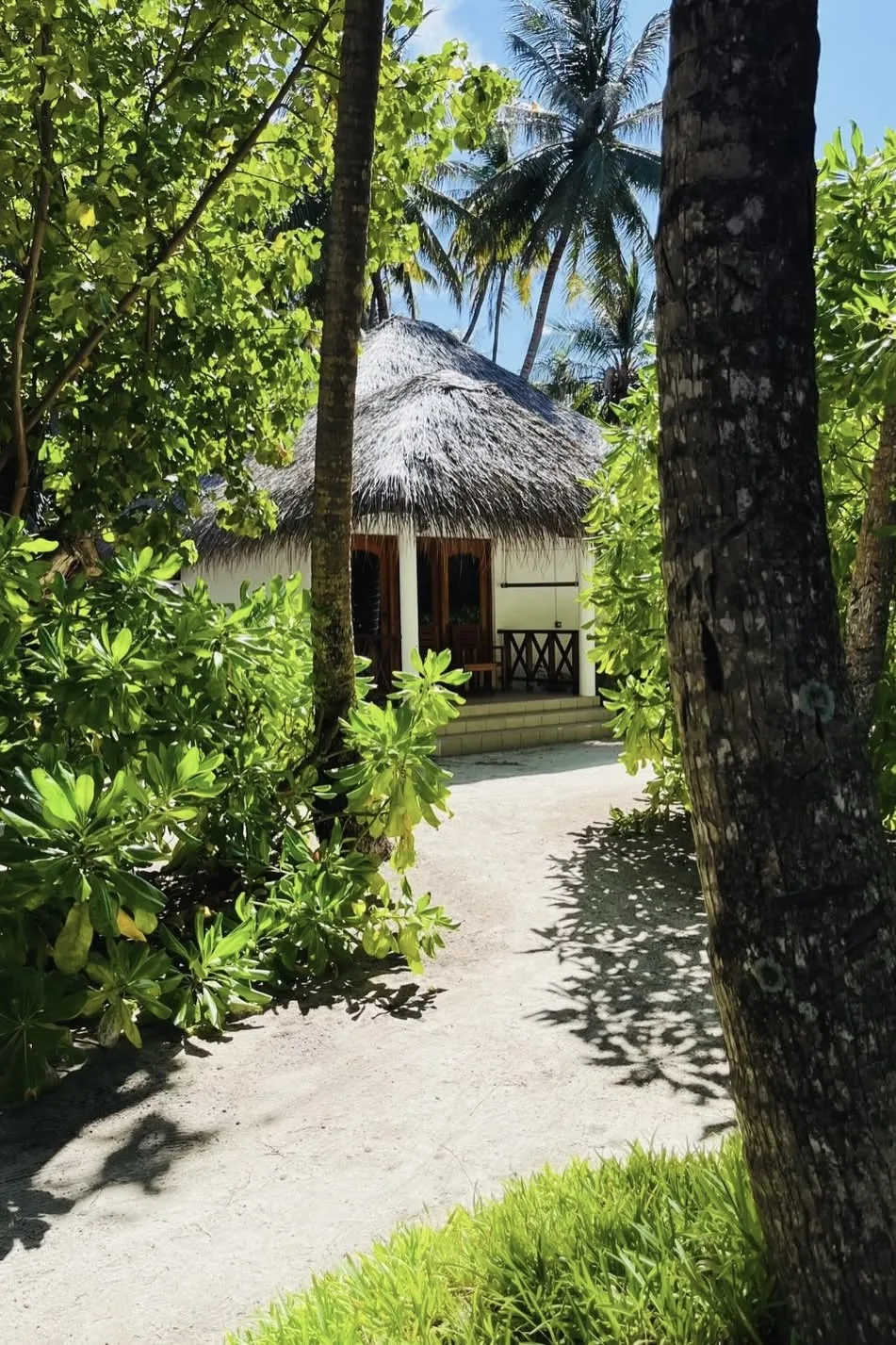 🌊Океан и черепахи буквально у твоего порога 

Fihalhohi Maldives - отличный бюджетный вариант для з
