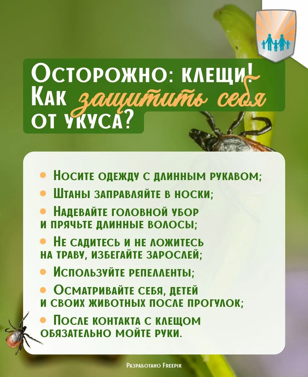 Осторожно, клещи! Что нужно знать, чтобы защитить себя С приходом весны и тепла активизируются перен