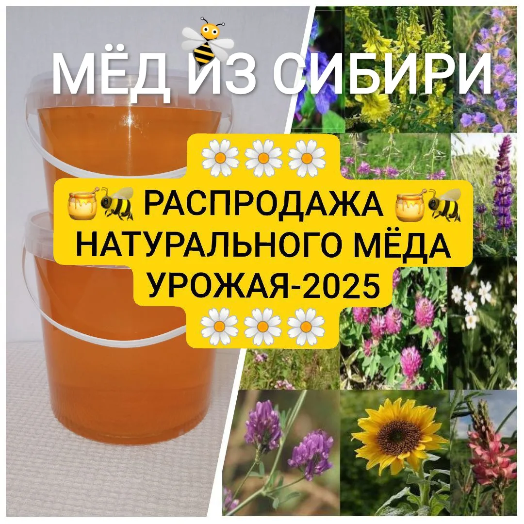 НАПРЯМУЮ ОТ ПЧЕЛОВОДА ПРЕДЛАГАЮ К РАСПРОДАЖЕ: 
🐝 НАТУРАЛЬНЫЙ МЁД "ЦВЕТОЧНОЕ РАЗНОТРАВЬЕ" - УРОЖАЙ 2