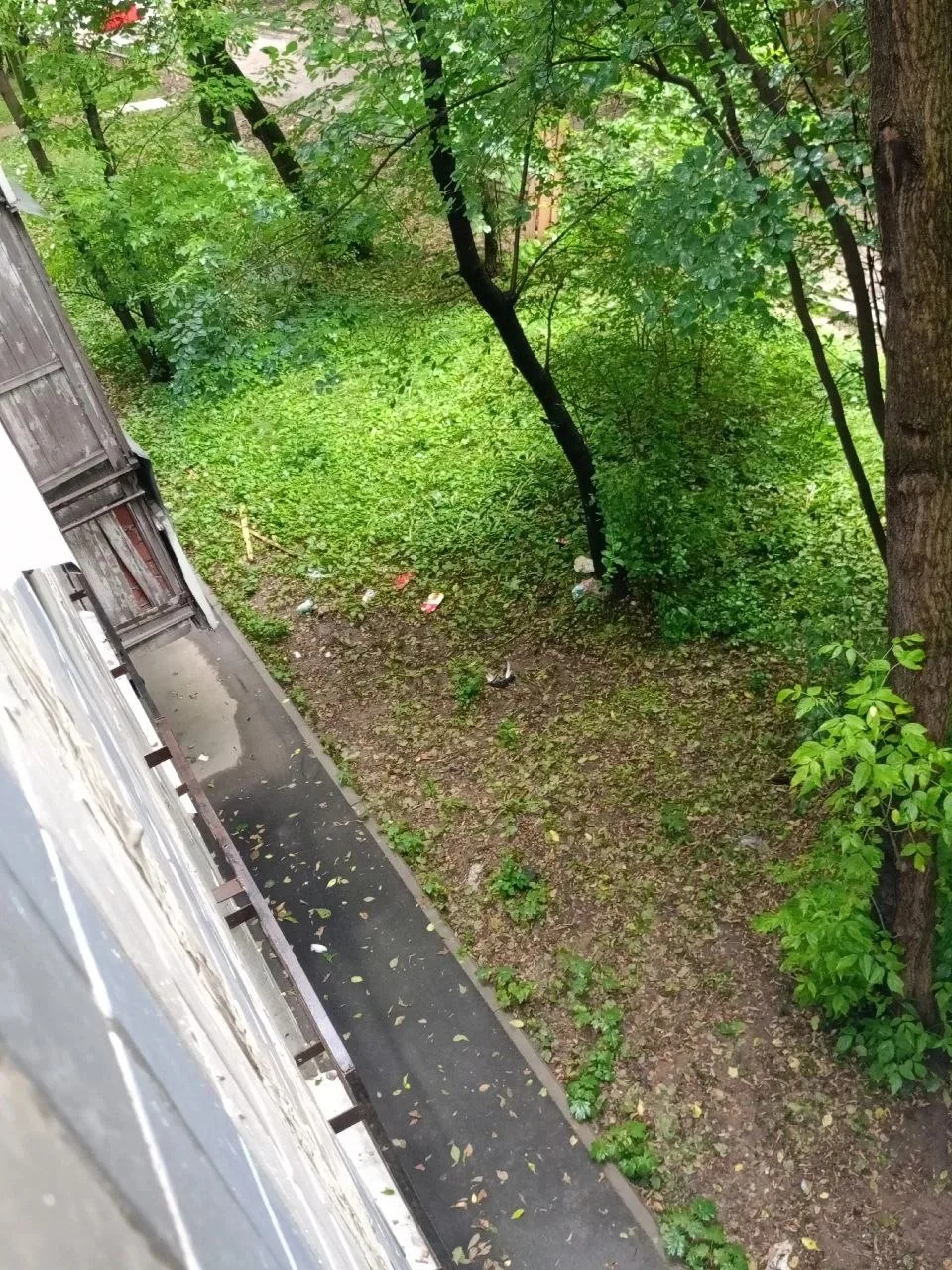 🚧 По адресу Ореховый бульвар, дом 39 уже более двух месяцев продолжаются дорожные работы, и конца и