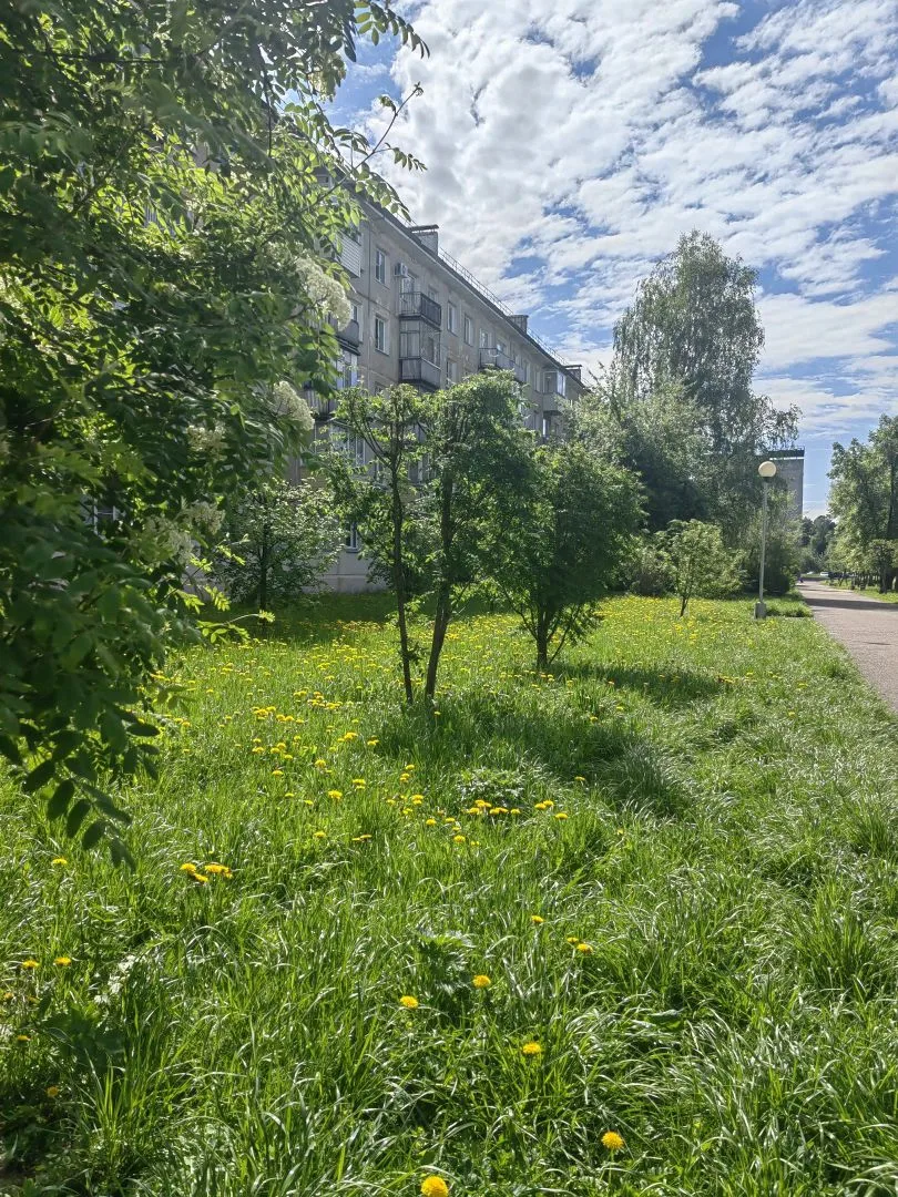 ДОЖДЛИВЫЙ ДЕНЬ
Именно таким, по прогнозам синоптиков, будет наступающий вторник. 
Дождь будет практи
