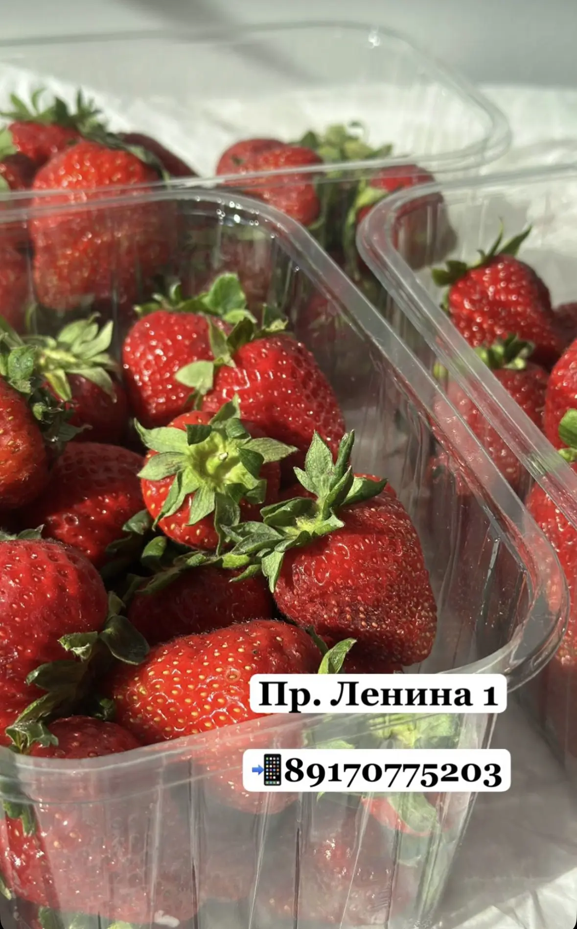 🍓 18 ИЮНЯ — ДЕНЬ КЛУБНИКИ!
У нас отличные новости — сладкая и вкусная клубника уже в наличии! Собра