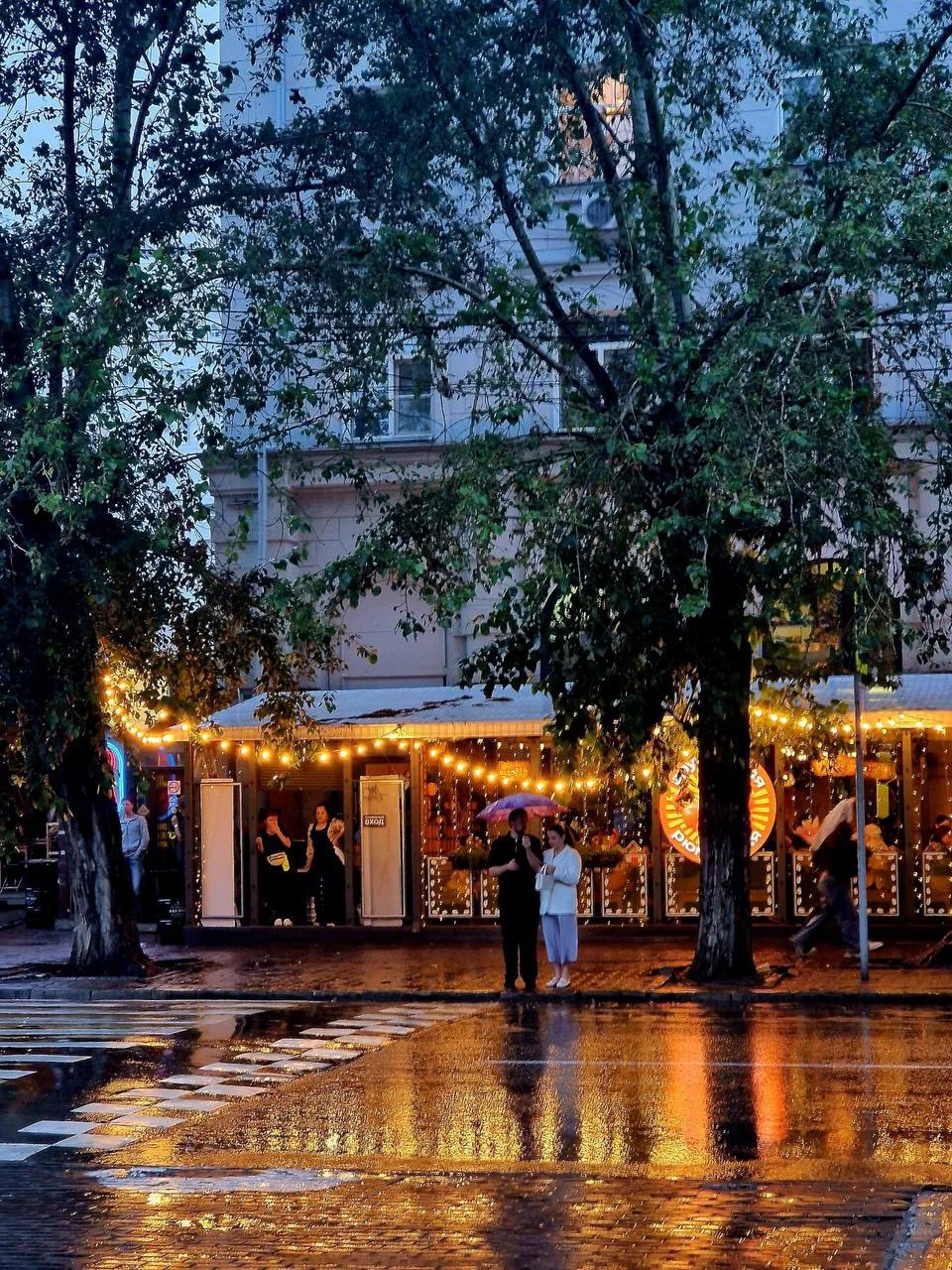☔️ Романтика дождливого Новосибирска

АФИША НОВОСИБИРСК