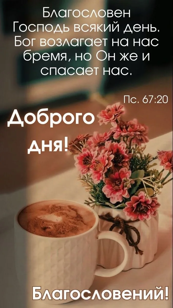 С ДНЁМ ЛЮБВИ, СЕМЬИ И ВЕРНОСТИ 🌿🙏🙏🙏

 Благоверным князю Петру и княгине Февронии, Муромским чудо