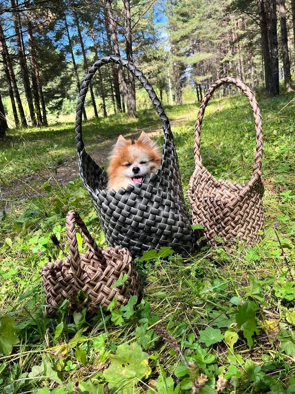 🍂В выходные дни и в начале следующей недели сохранится антициклональный тип погоды, осадков не пред