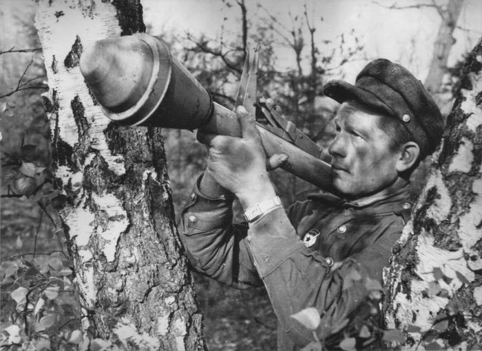 15 июня 1961 года, ровно 65 лет назад, постановлением Совета министров СССР №535-222 на вооружение С