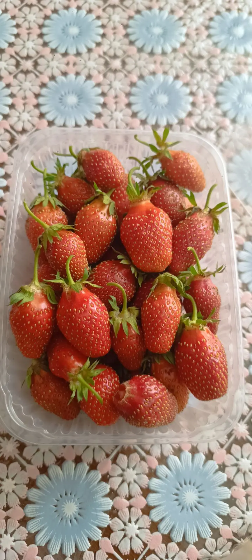 Продам 600 руб   1л