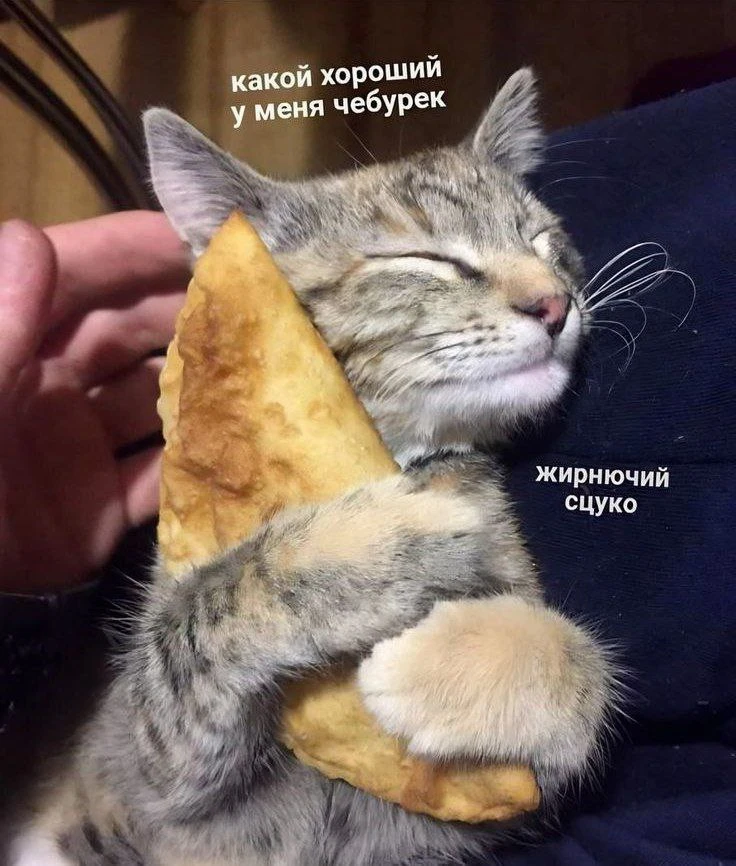 Поесть? Или поспать?
🔥 поесть
🖤 поспать
❤️ сначала поесть, потом поспать