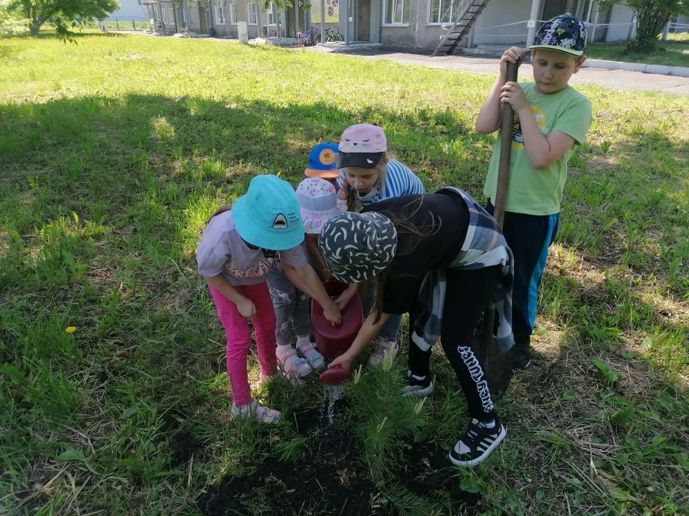 🌳✨ Сегодня, 5 июня, мы отмечаем День эколога! И как же приятно видеть, что ребята не просто говорят