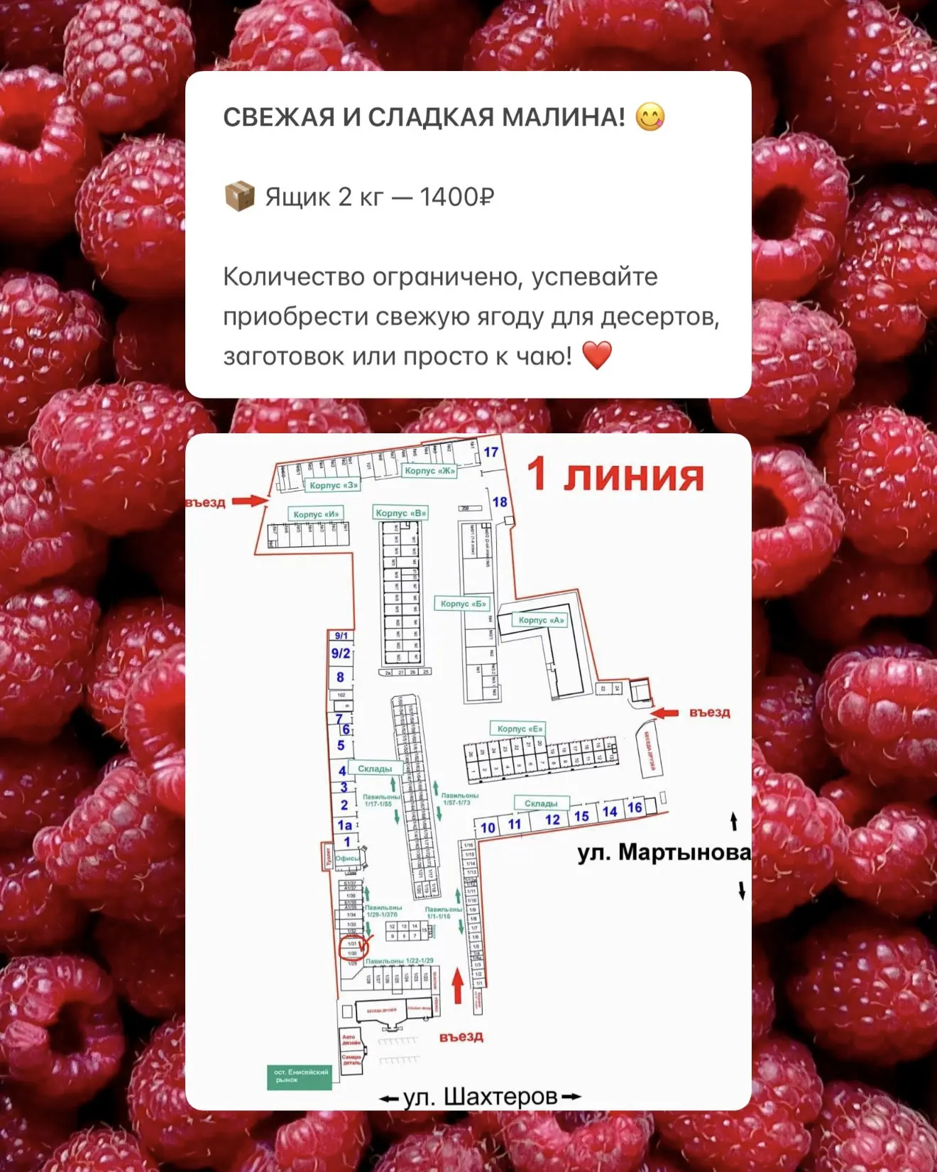 ❤️ Малина по новой сниженной цене!

Самое время побаловать себя свежими ягодами.
Успейте взять, пока