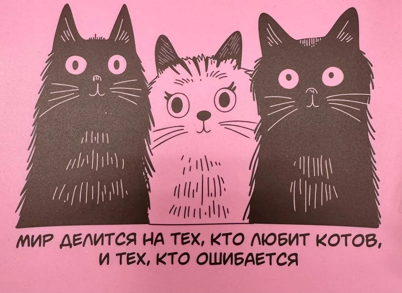 Почему у кошек нет выгорания:

1. Они уверены, что мир создан для них.

2. Они принимают на свой счё