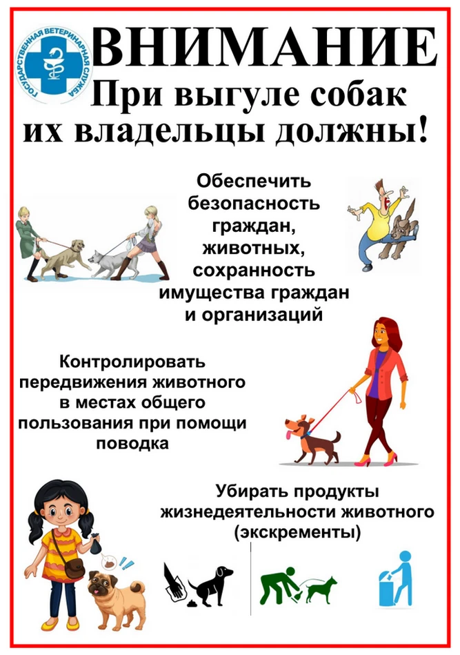 Уважаемые жители!
Очень часто мы видим на улицах безнадзорных животных. Это результат безответственн