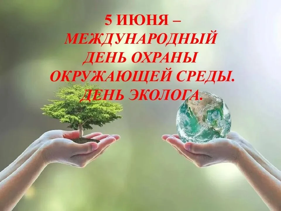 🌲 В нашем лагере прошел День Эколога! 🌲

В рамках программы «Орлята России» и в честь Всемирного д