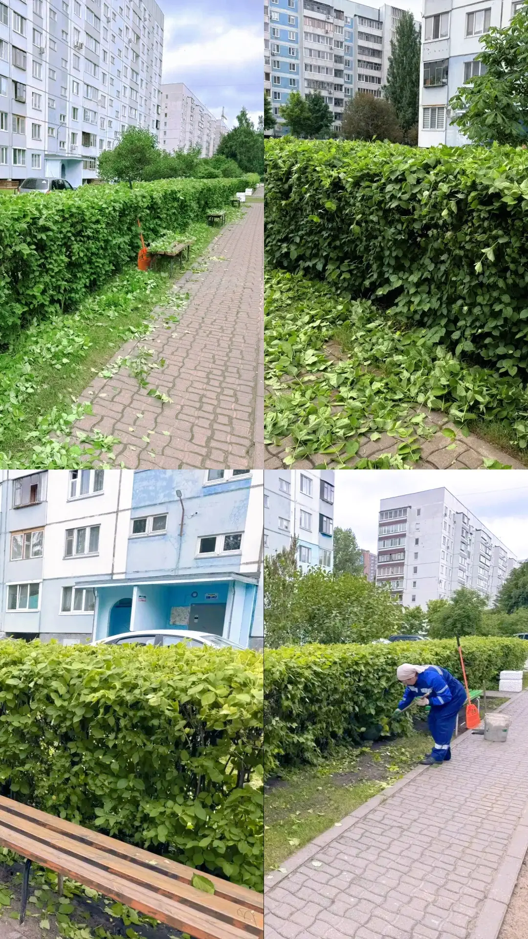 Уважаемые жители Карбышева 27!

Рады сообщить, что в рамках благоустройства придомовой территории сп