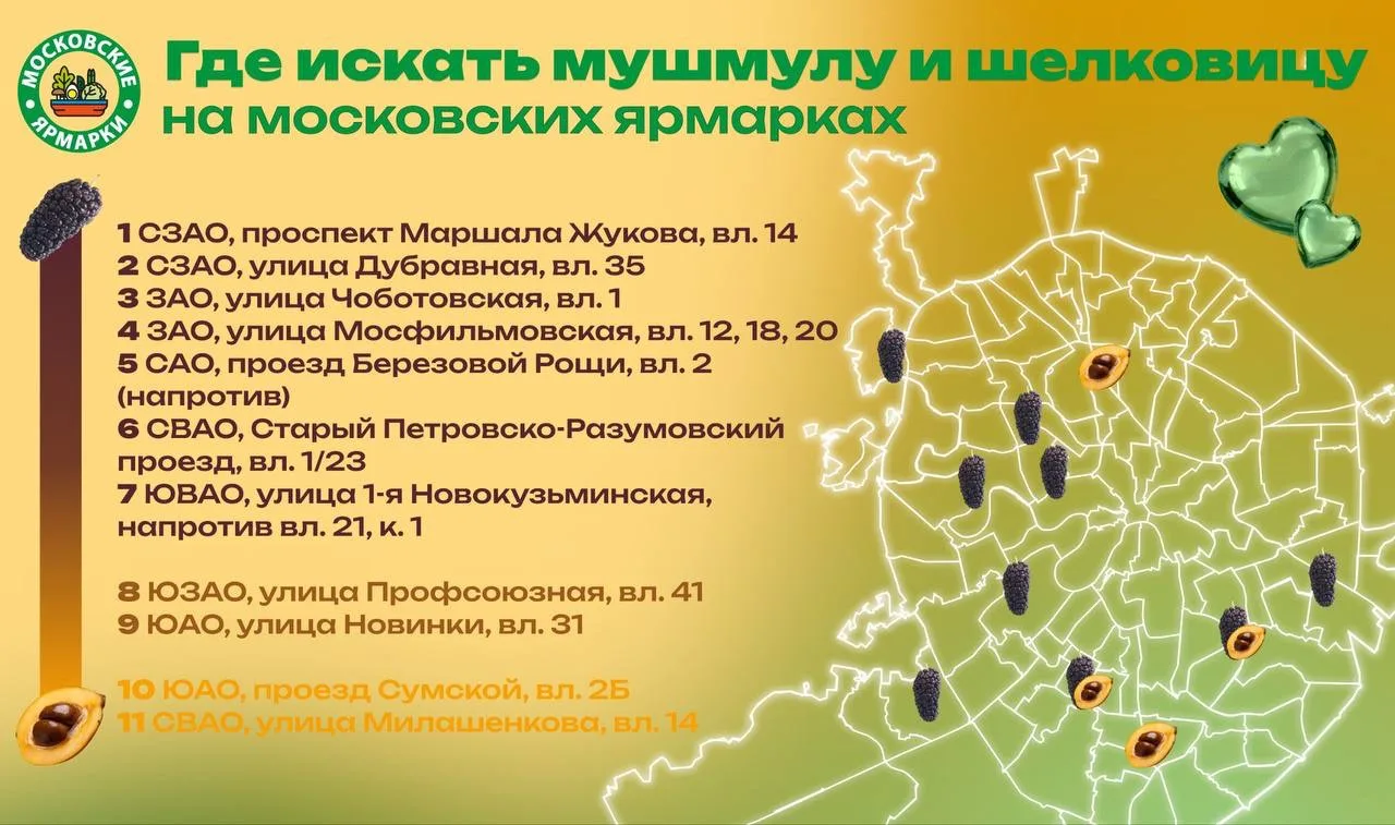 🍓 Шелковица и мушмула!

(Нет, это не заклинание из древнеславянского языка и не названия магических