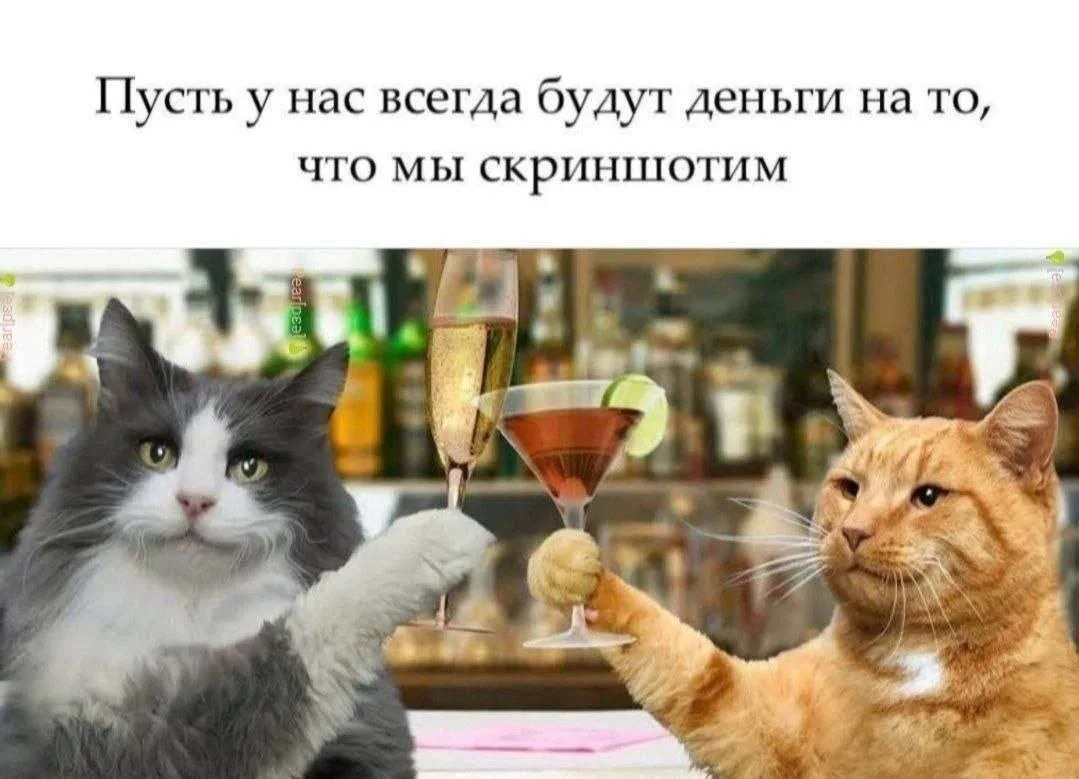 и даже больше!!

GIRL'S MEMES