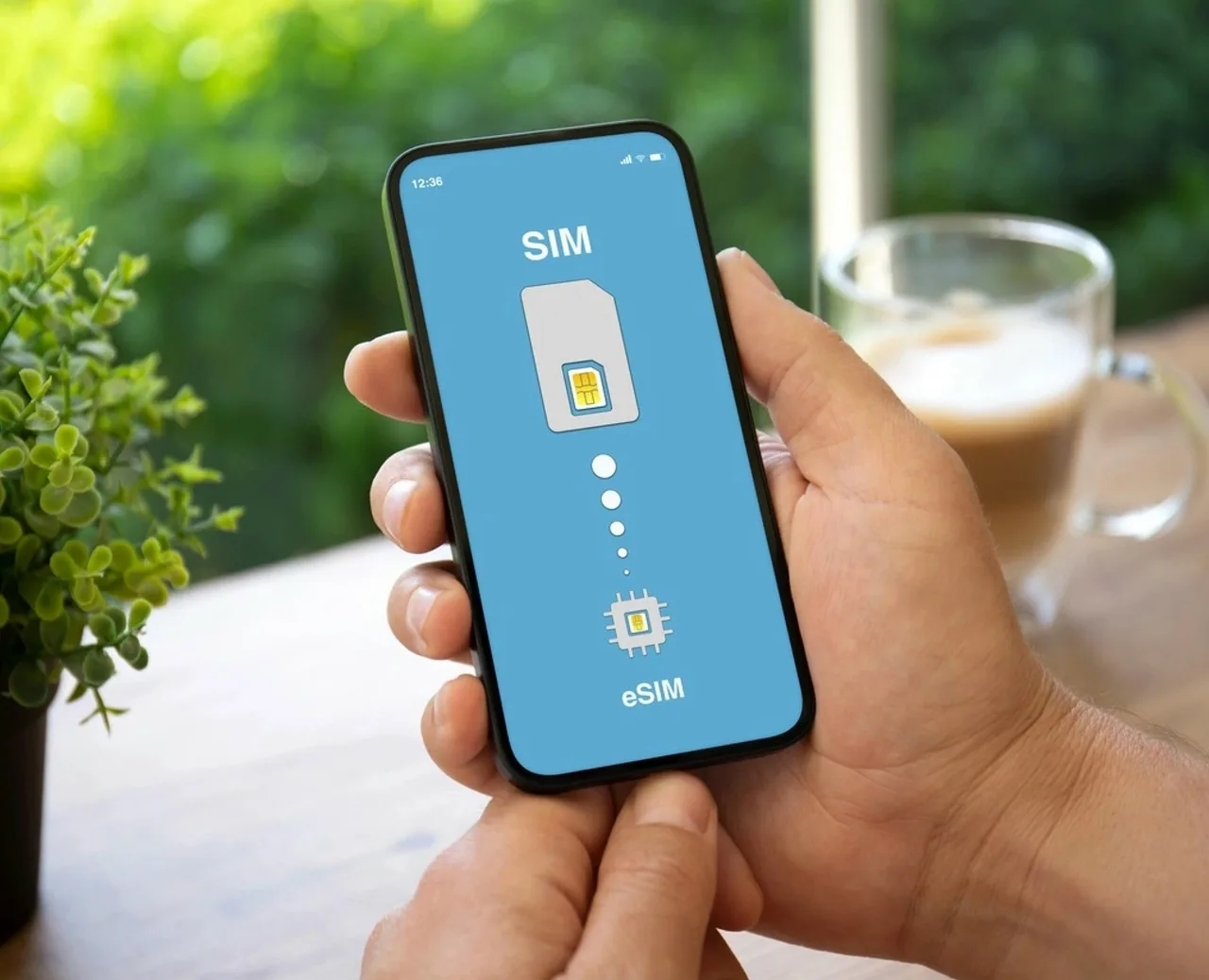 В России введут обязательную привязку SIM-карты к конкретному телефону — Совет Федерации одобрил зак
