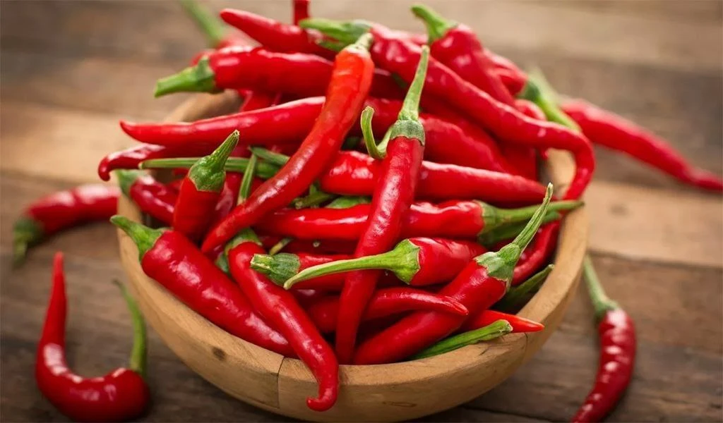 Какую пользу приносит острый перец🌶

▫️Небольшое количество стимулирует работу ЖКТ и повышает аппет