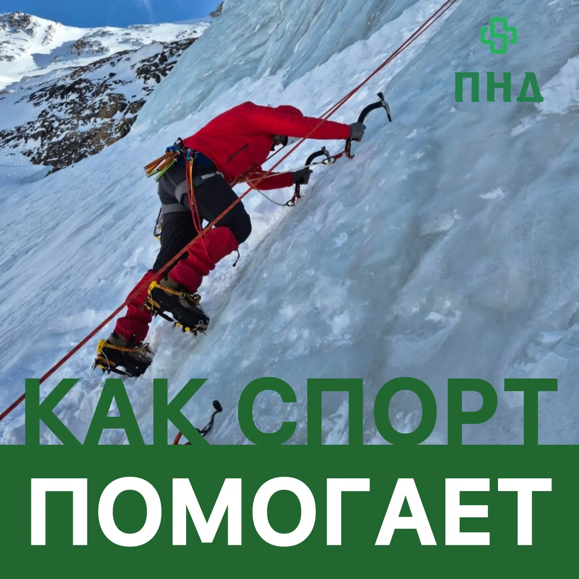 🧗Как спорт помогает победить зависимость, рассказывает Станислав Ларионов, и.о. главного врача

💬 