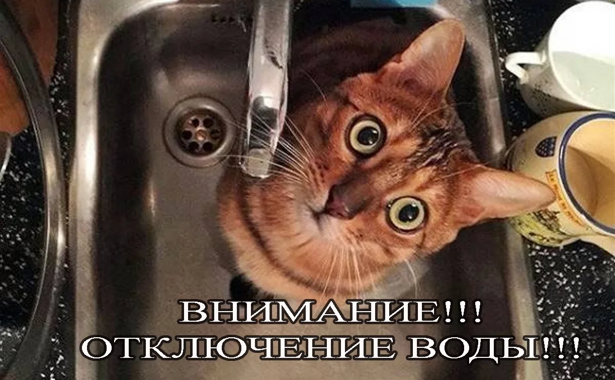 Уважаемые жители п. Золотухино  04.06.2026 г., с 14.00 до 05.06.2026 г., до 17.00 ориентировочно , п
