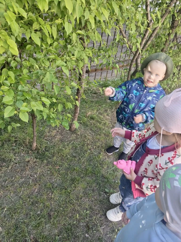 "День охраны окружающей среды" в младшей группе — это важно. В таком юном возрасте дети начинают фор