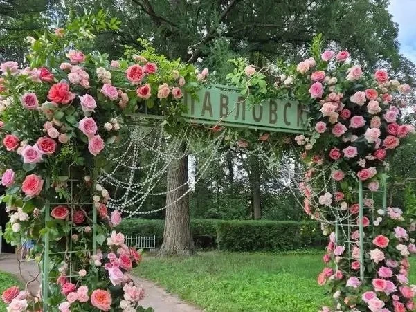 🌸 В эти выходные Павловск превращается в настоящий свадебный альбом. Цветочные арки, карета, фата и